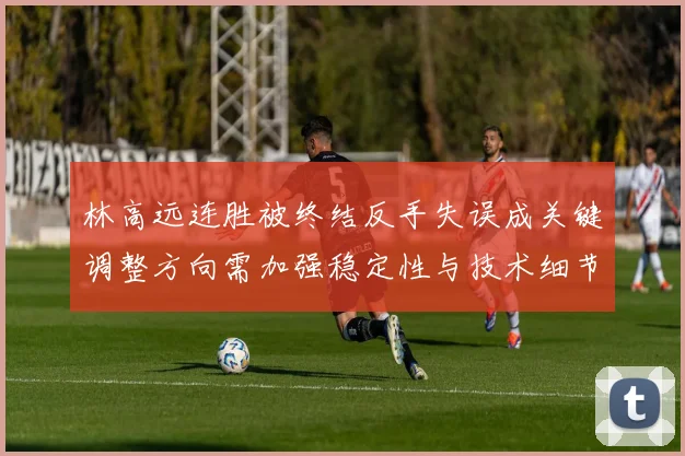 林高远连胜被终结反手失误成关键调整方向需加强稳定性与技术细节