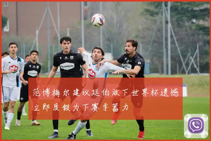 范博梅尔建议廷伯放下世界杯遗憾立即度假为下赛季蓄力